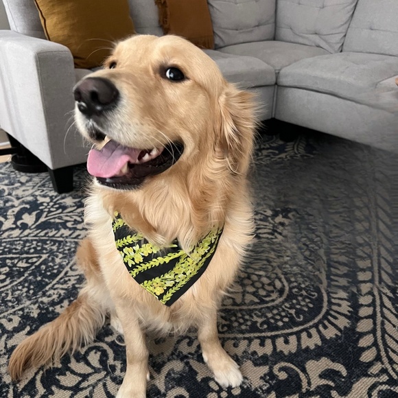 Meet your Poshmark Ambassador, Nicole - Picture 4 of 8